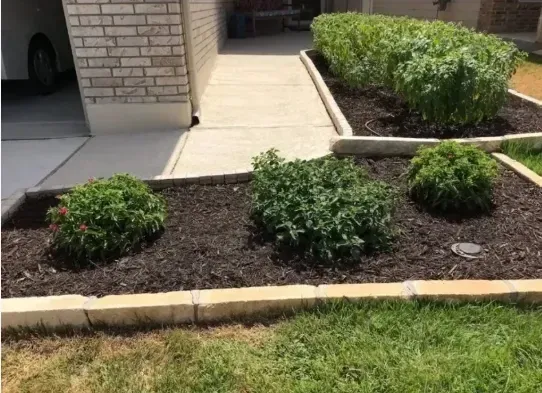 Landscaped yard with mulch beds, plants, and concrete walkway near a house.