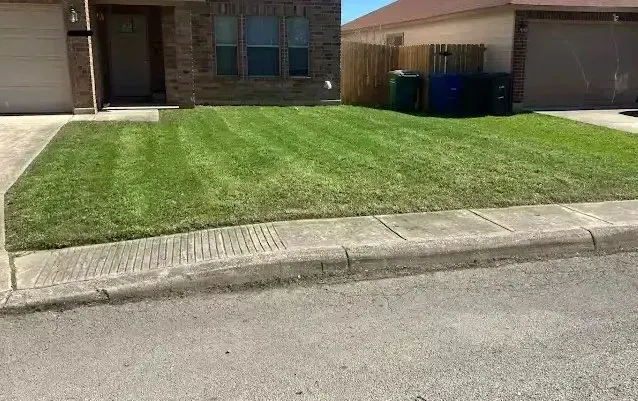Lawn in front of a house with freshly cut grass, green and brown curb, blue trash cans, sunny day.