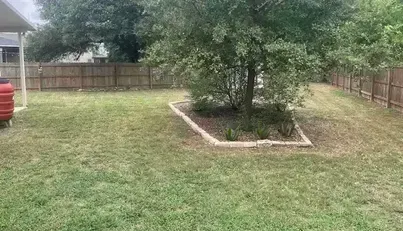 A backyard with a brown fence, a large tree surrounded by a small garden, and a red barrel.