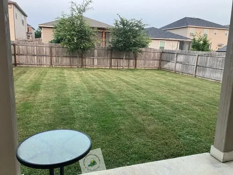 Backyard with freshly mowed green grass, wooden fence, two small trees, and a small table. Cloudy sky.