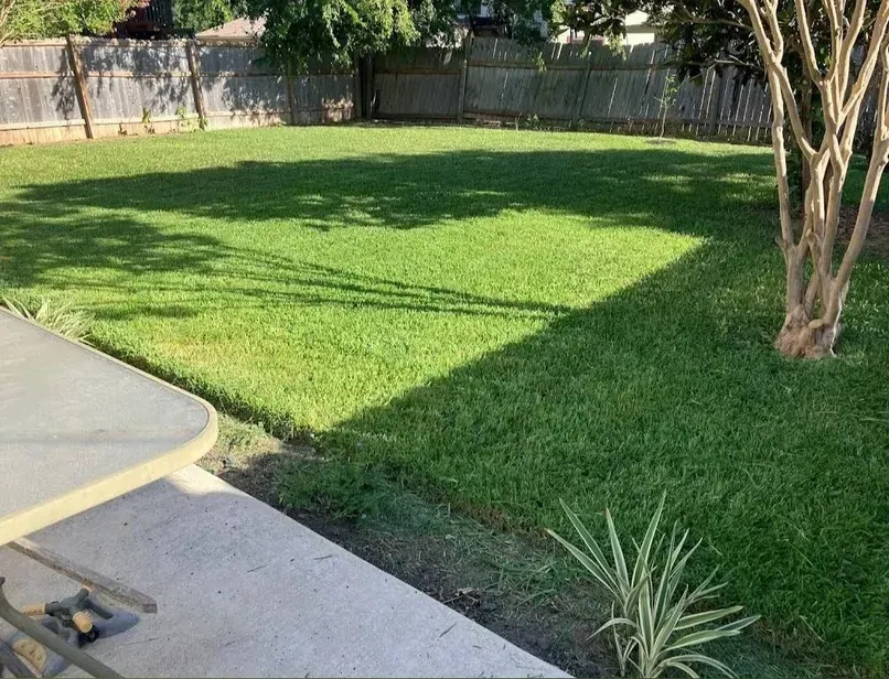 Green backyard with lush grass, wooden fence, patio, and tree.