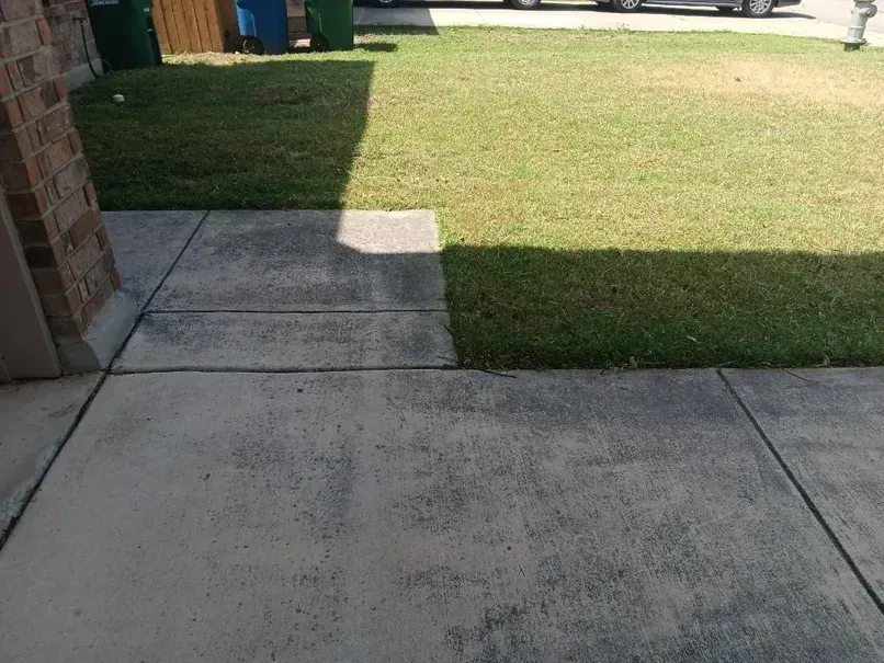 Sidewalk in front of a house, with grass and trash cans nearby. Sunny day, partial shadow.