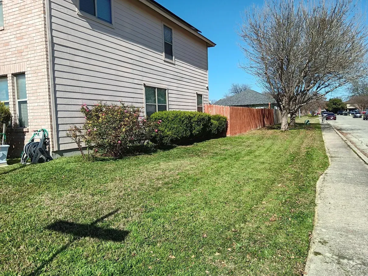 A two-story house with a patchy lawn and a sidewalk on a sunny day.