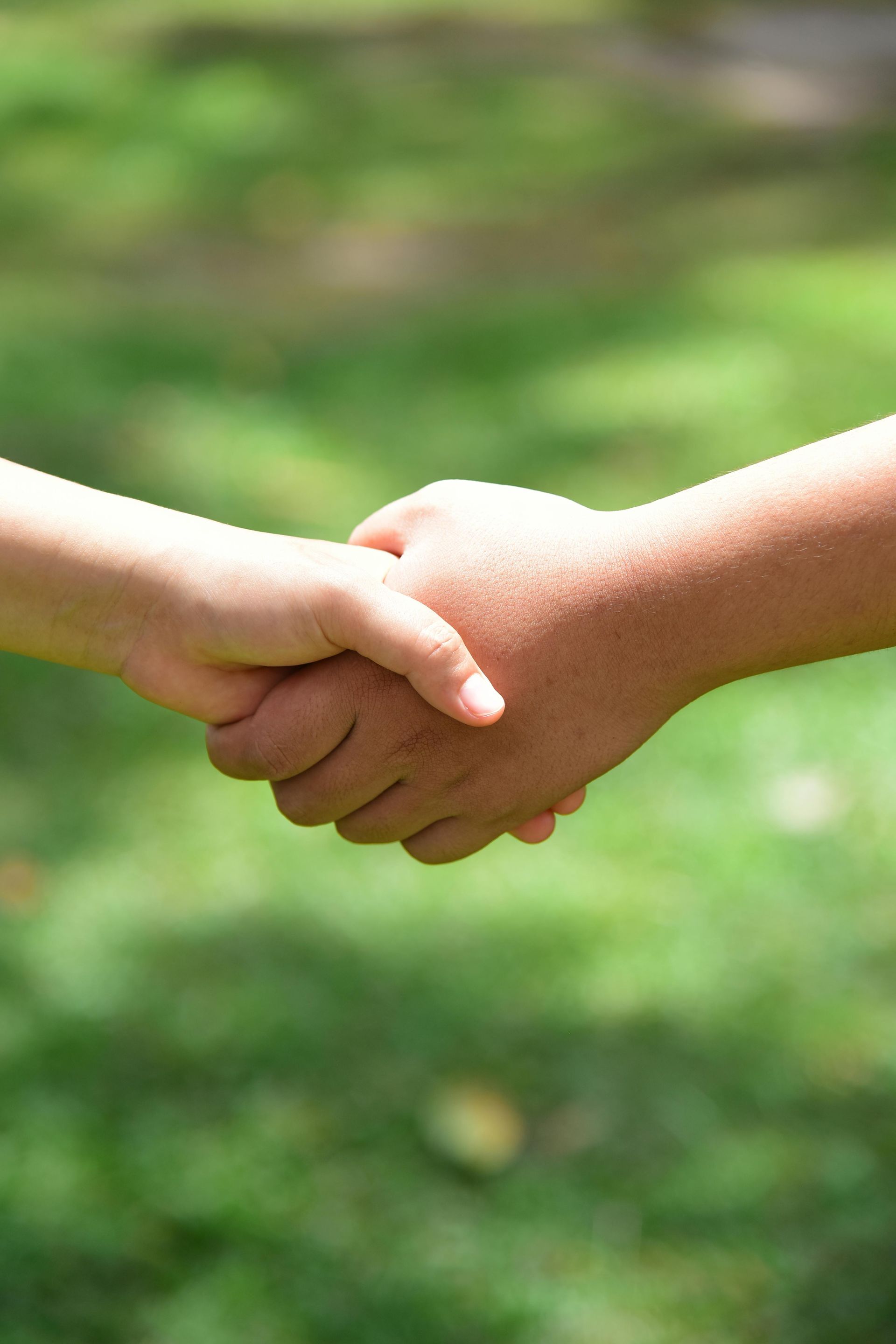Two hands shaking, on a blurred green background. Represents agreement or partnership.