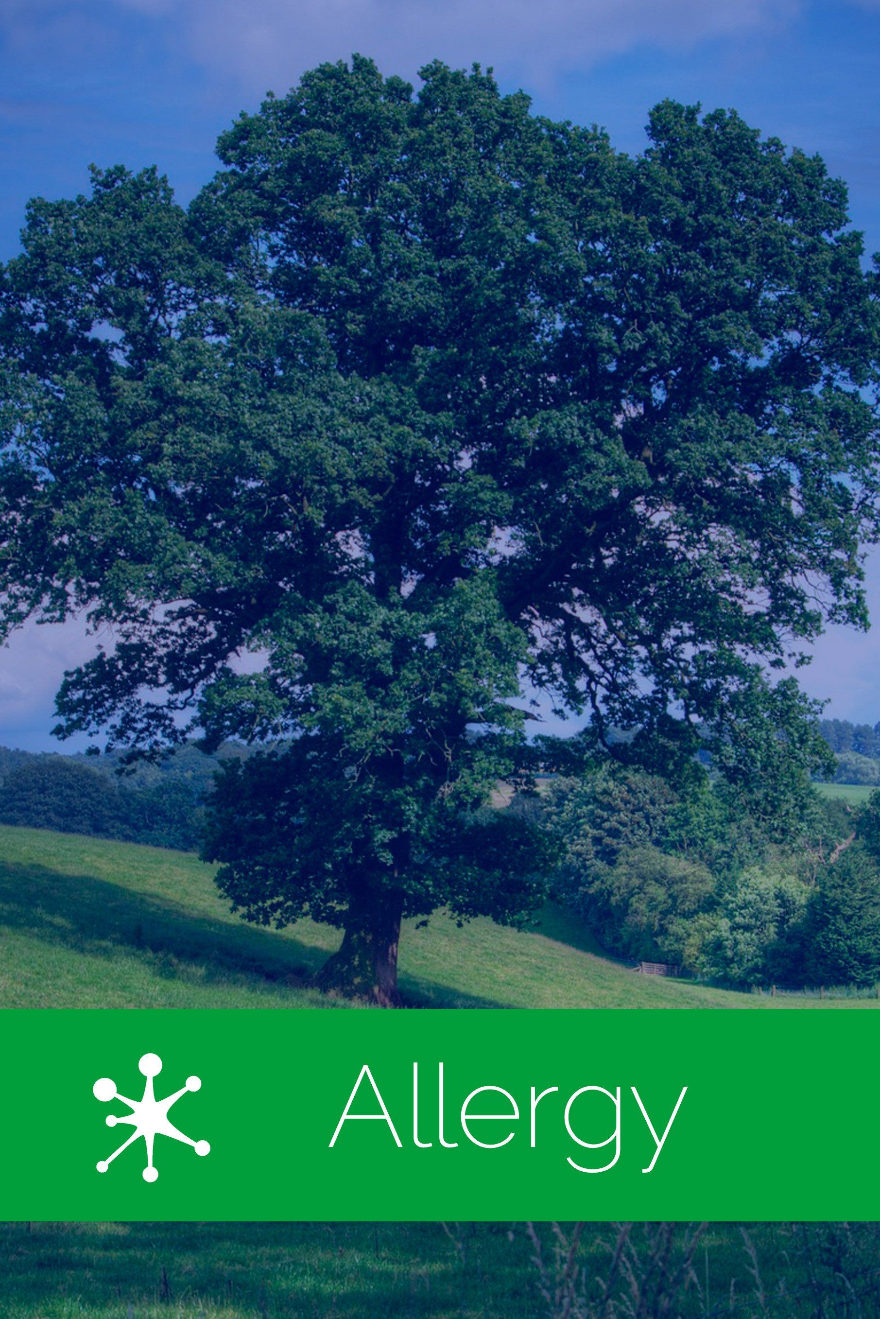 Allergy Treatment Buffalo, NY