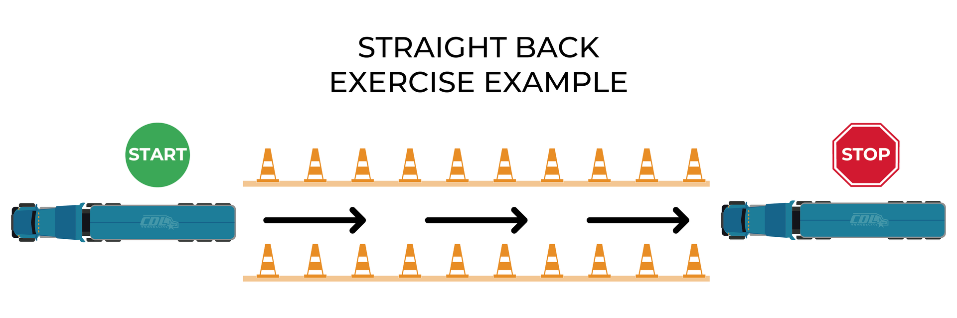 ELDT Straight Back Exercise Training BTW