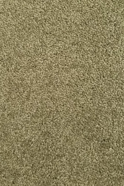 Las Vegas Event Flooring carpet samples showing the Paramount Carpet in the going green color.