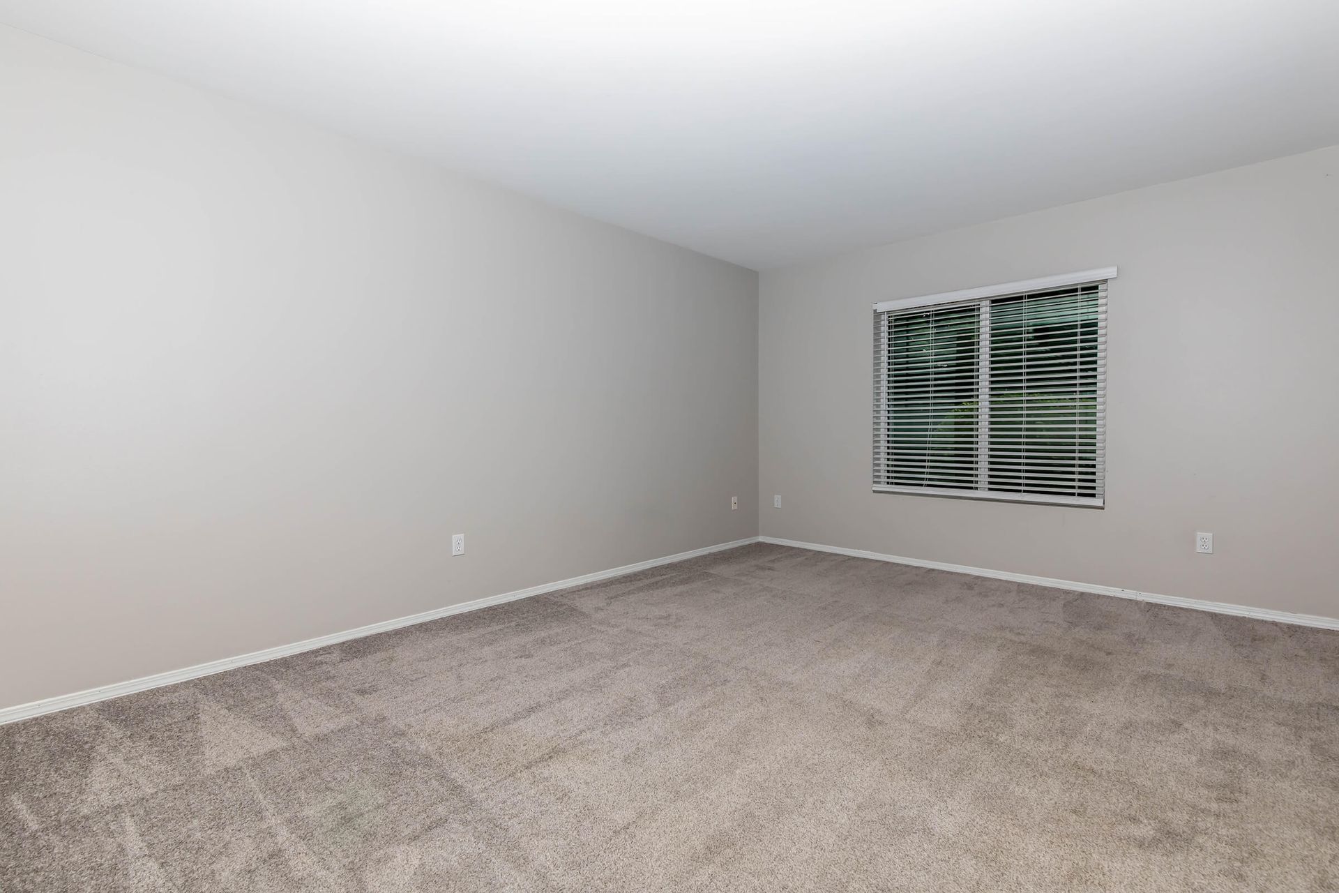 An empty living room with a carpeted floor and two windows.