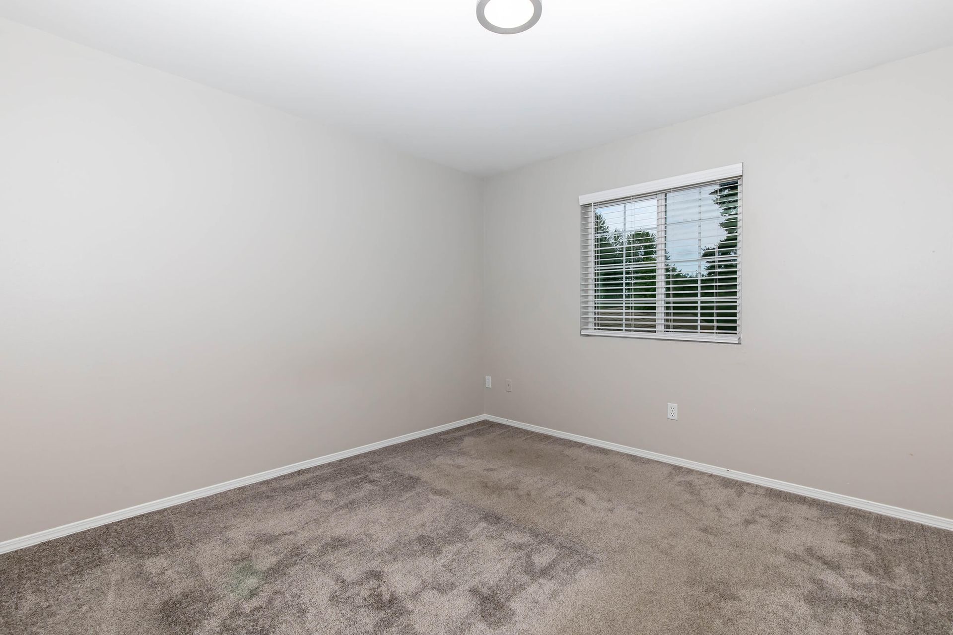 An empty bedroom with a window and a carpeted floor.