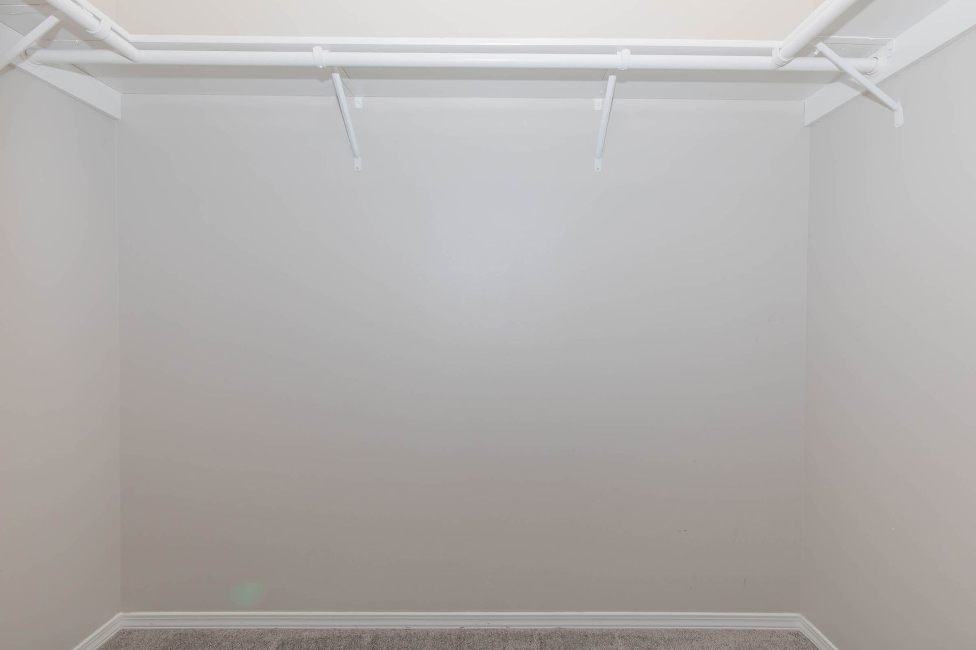 An empty walk in closet with white shelves and a gray carpet.