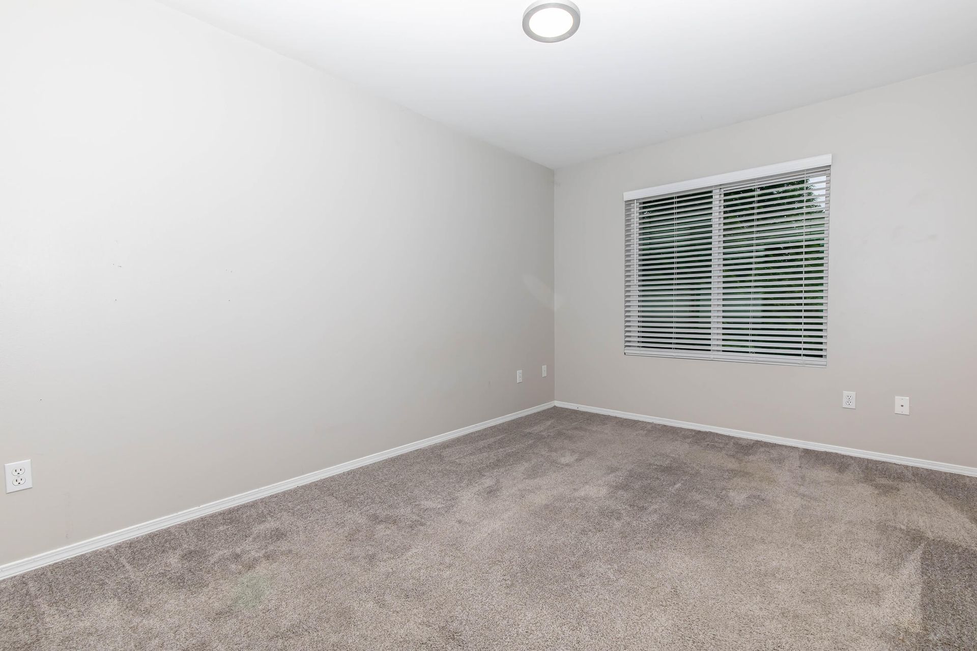 An empty bedroom with a window and a carpeted floor.