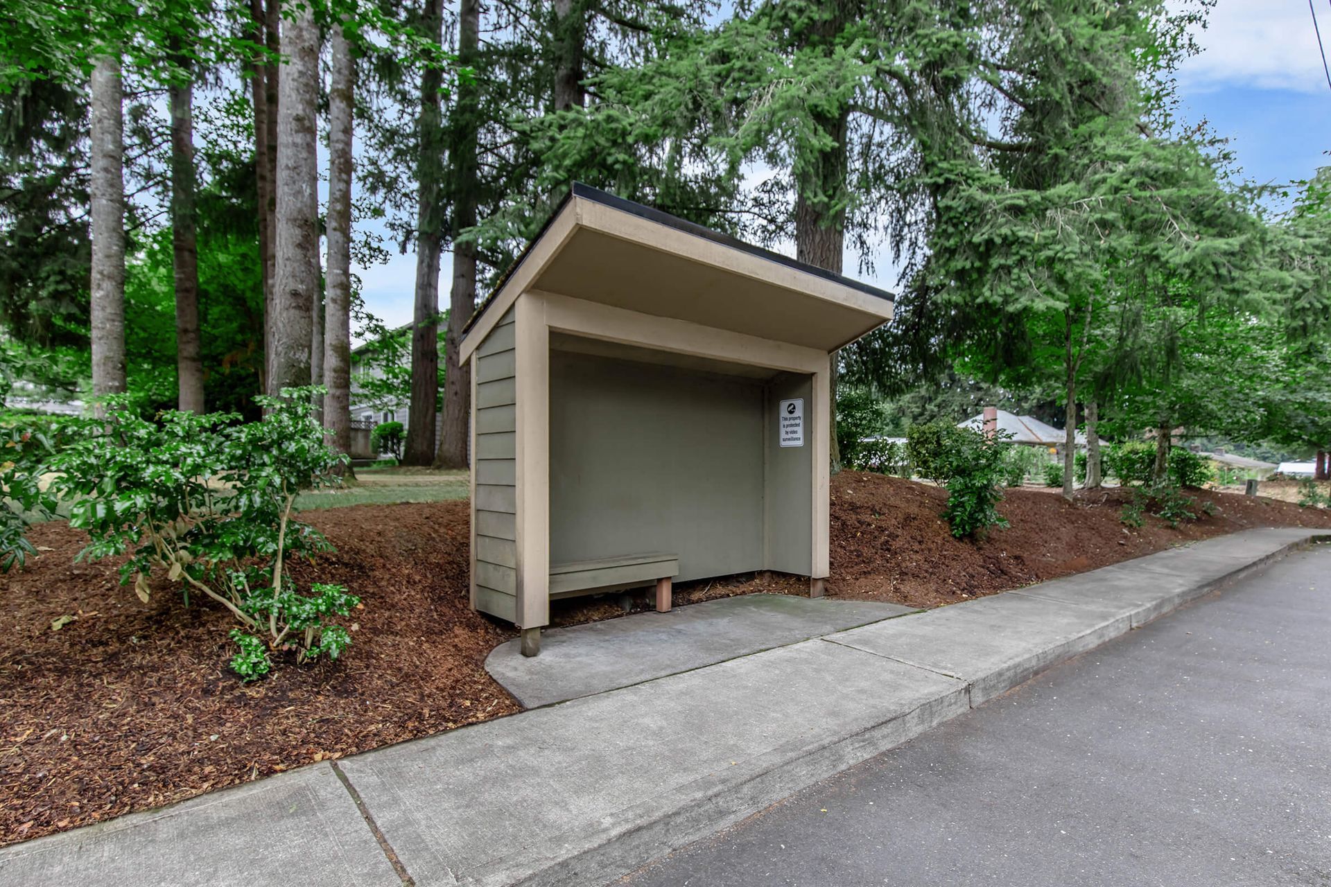 A bus stop is sitting on the side of the road in the woods.