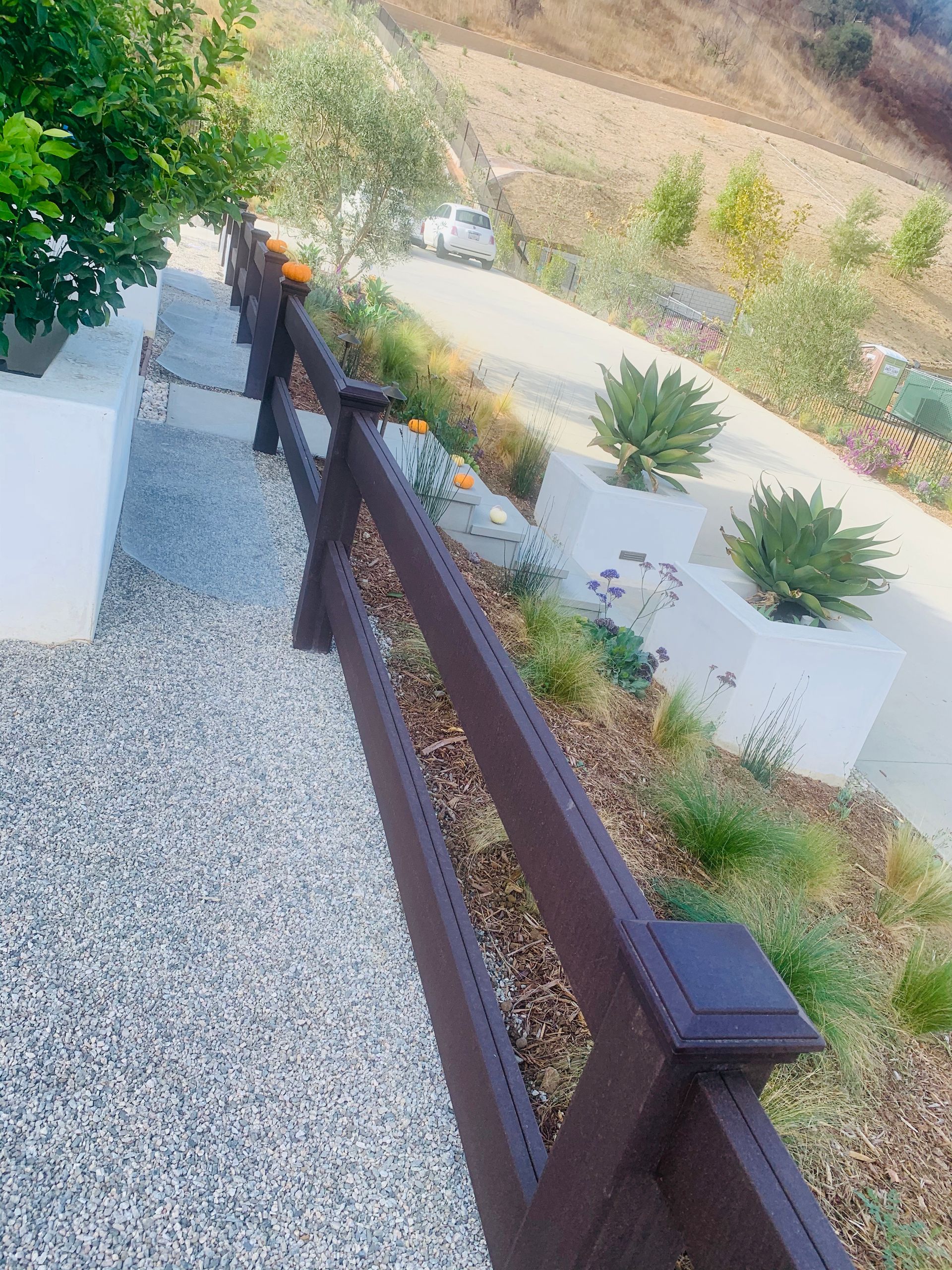 Brown fence borders a gravel path beside planted succulents and a sloping hillside.