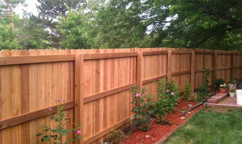 Dark brown vertical panel fence in an outdoor setting.