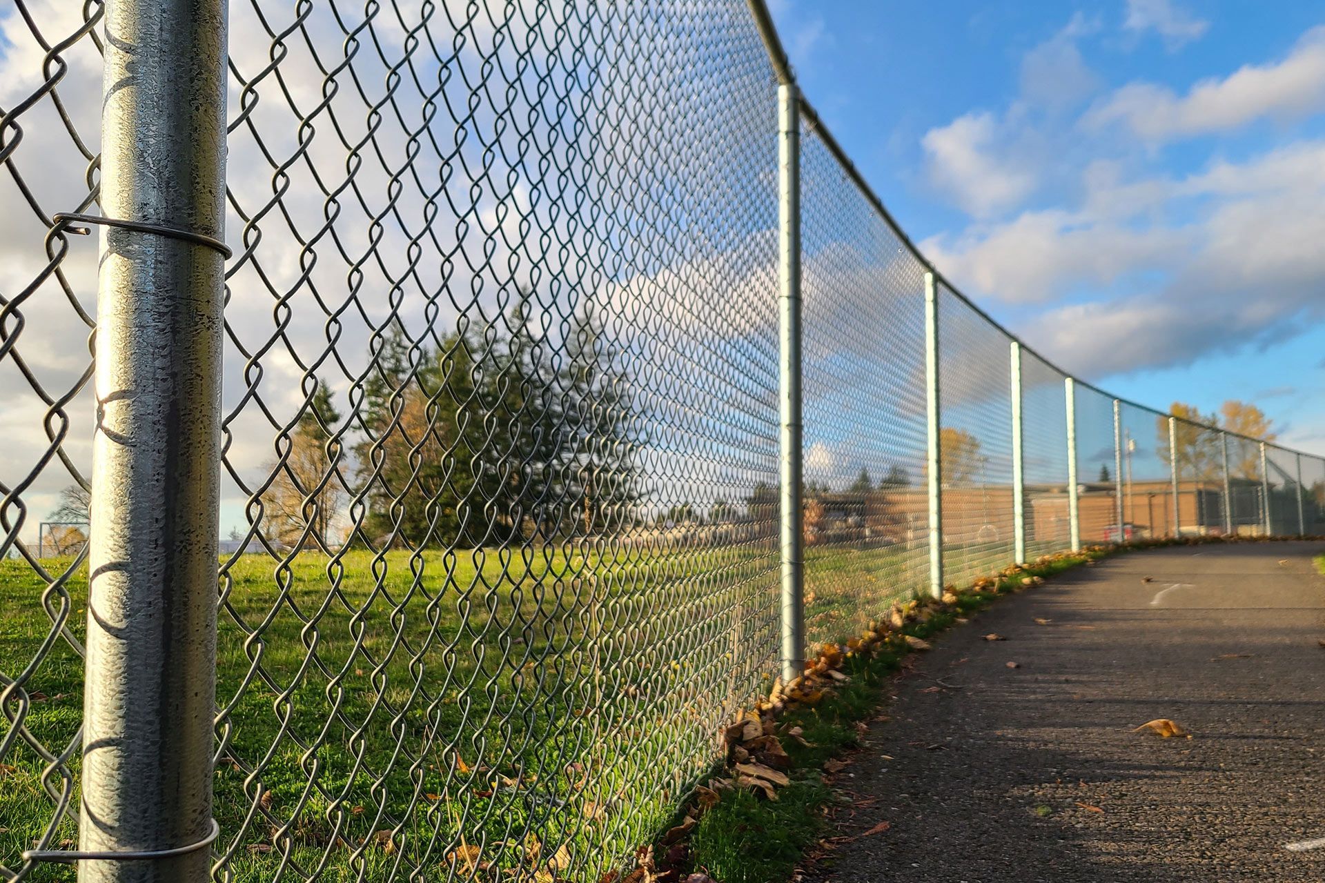 Chain-link fence bordering a path next to green grass, with trees and a blue sky in the background.