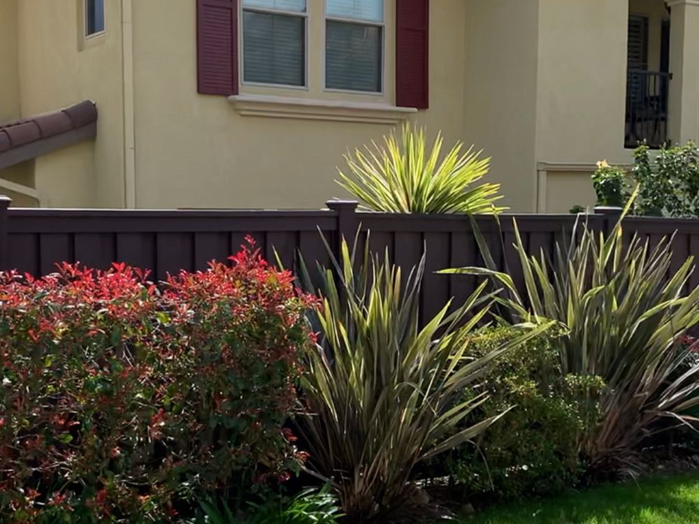 Brown fence with red and green plants in front of a beige house with maroon shutters.