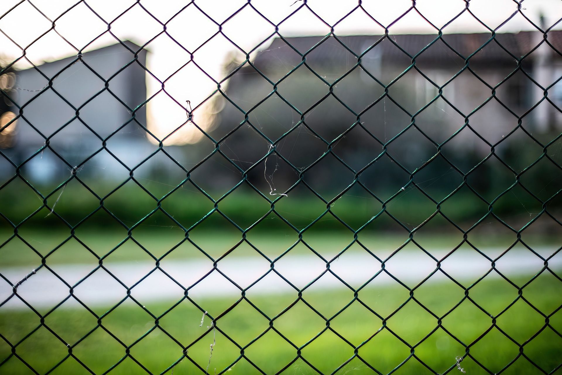 Chain-link fence in front of a blurry background of a house, path, and grass.