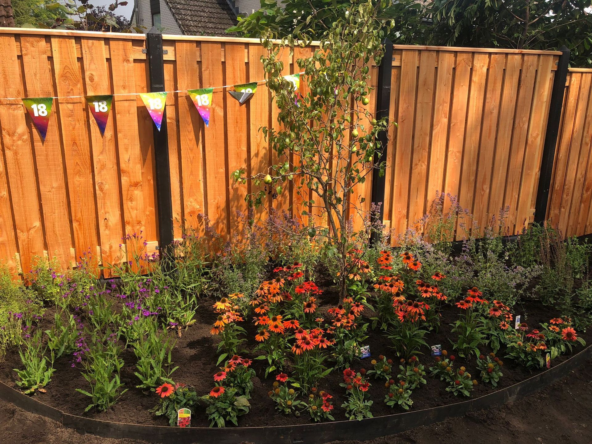 Mediterrane borderbundel vaste planten