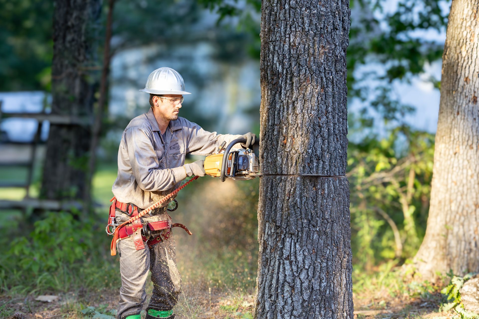 Tree worker in safety gear cuts large branch with chainsaw. Tree worker in safety gear cuts large branch with chainsaw.