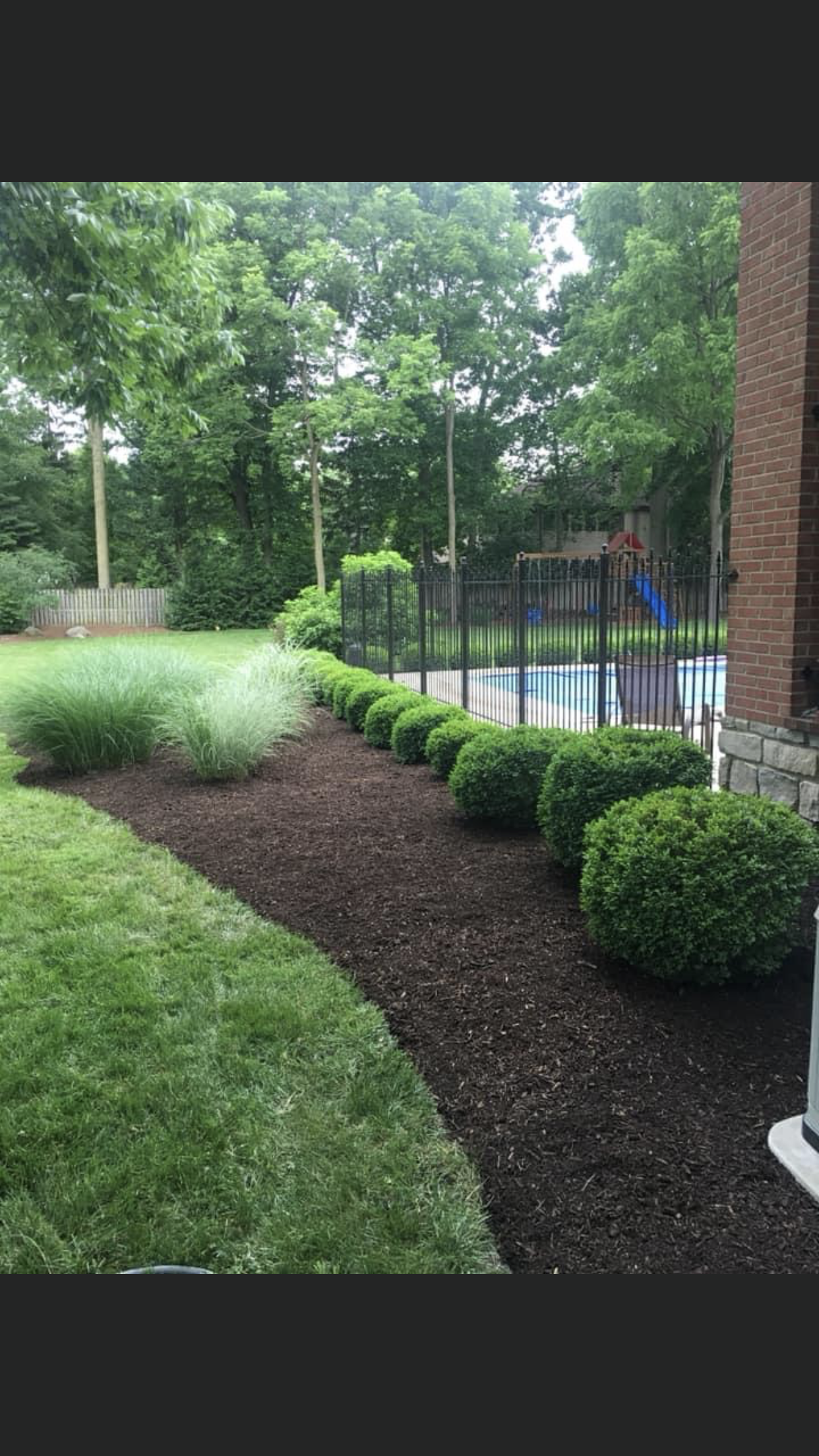 Bushes — Dayton, OH — AAA Tree and Landscaping