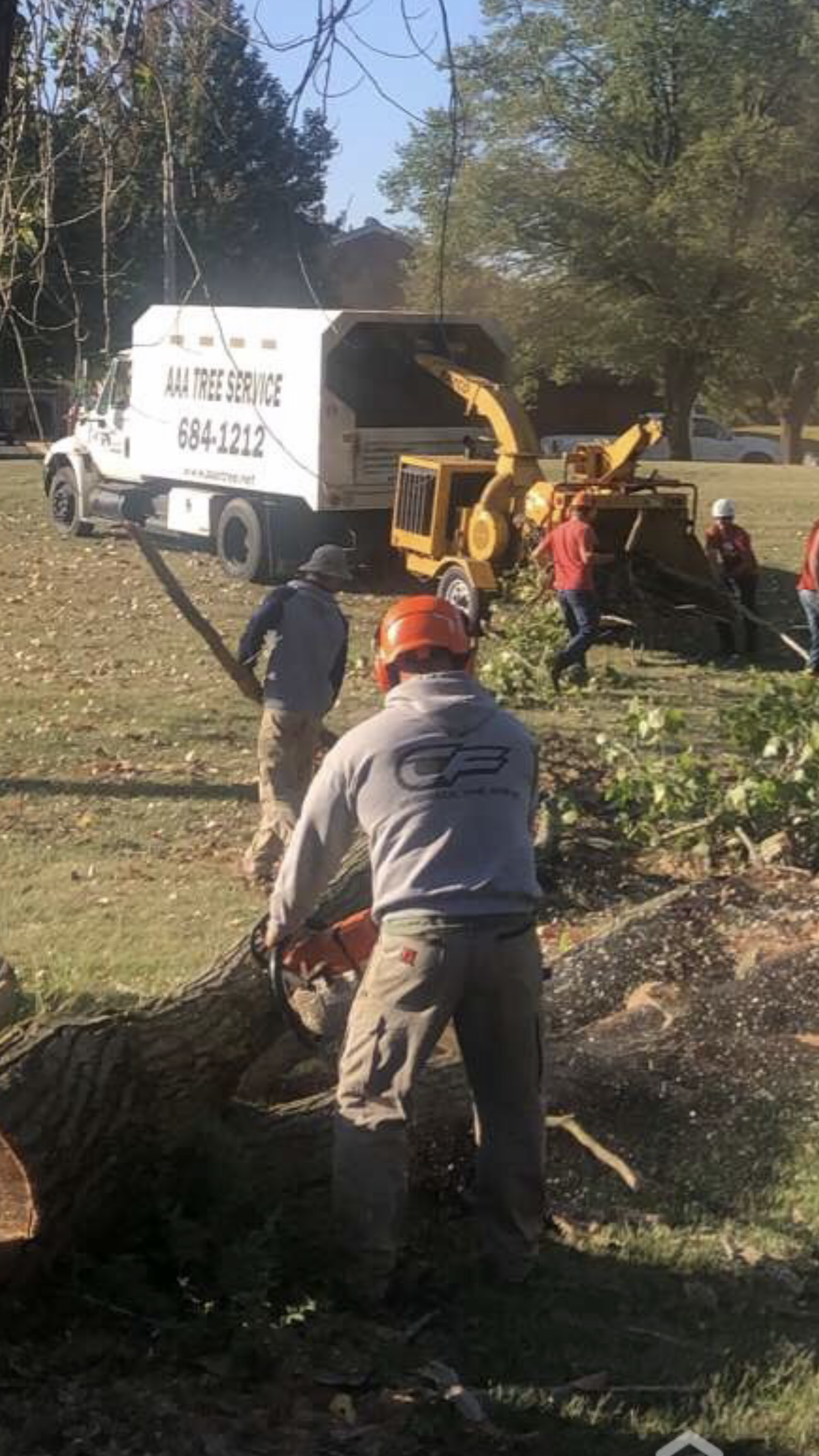 Tree Service Workers — Dayton, OH — AAA Tree and Landscaping