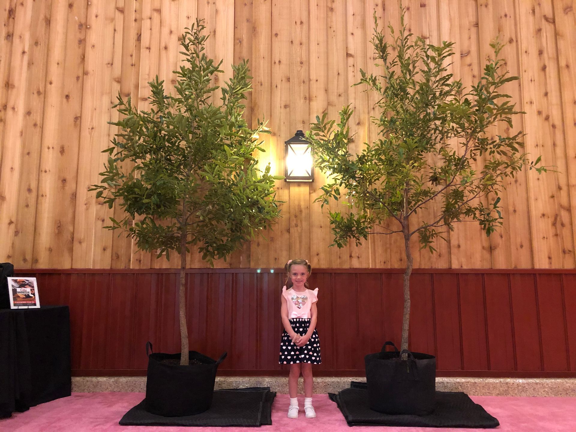 A Girl & Plants — Dayton, OH — AAA Tree and Landscaping