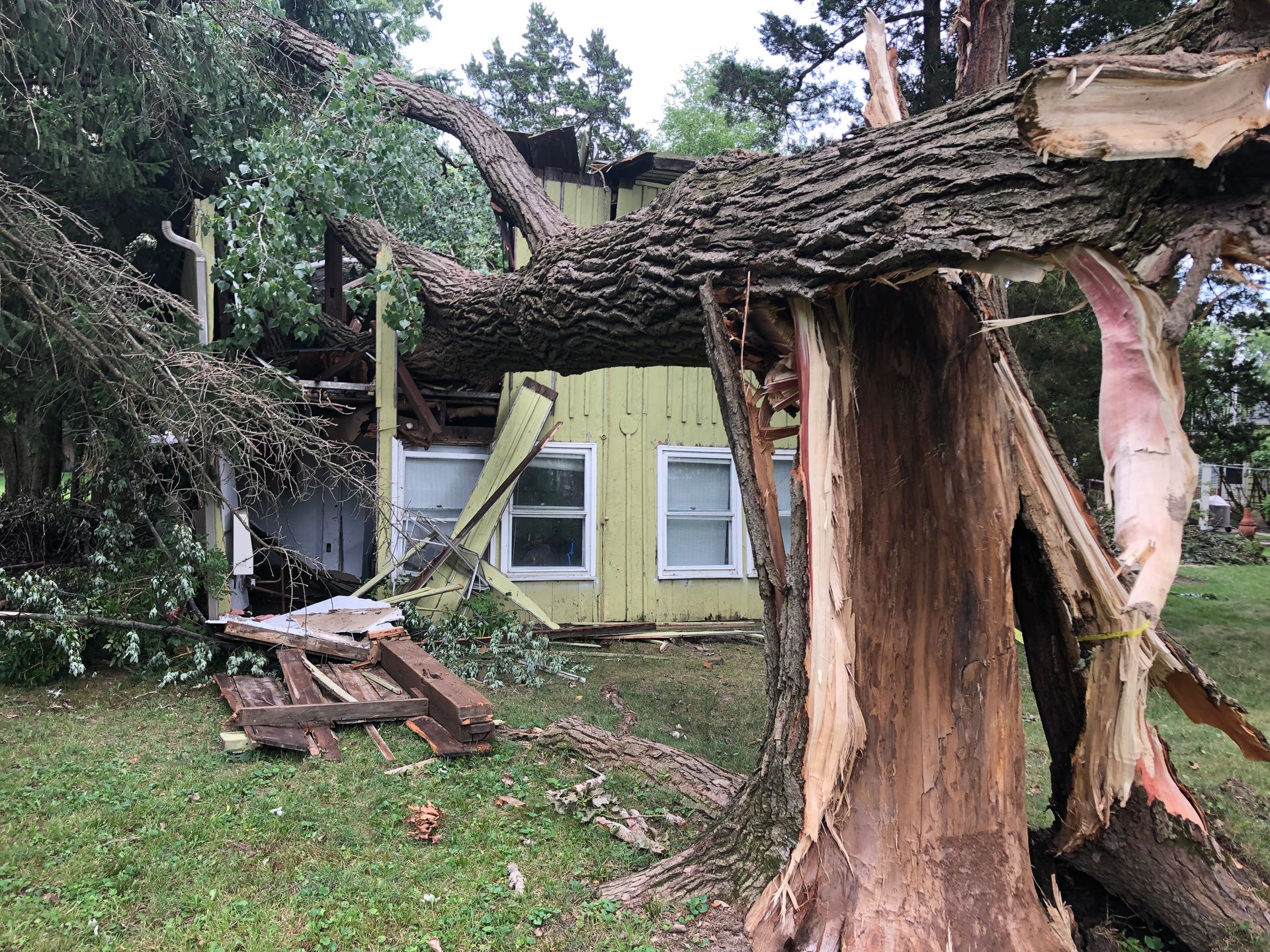 Cracked Tree — Dayton, OH — AAA Tree and Landscaping