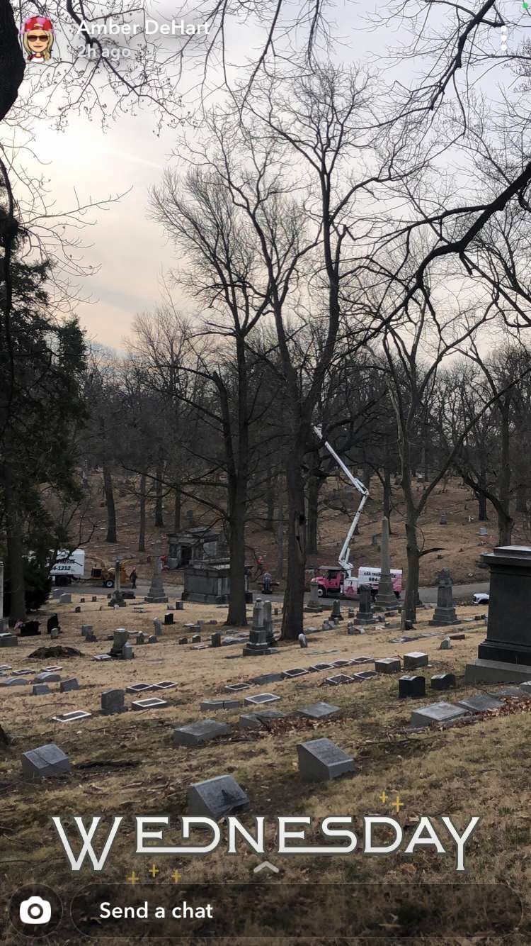 Old Trees — Dayton, OH — AAA Tree and Landscaping