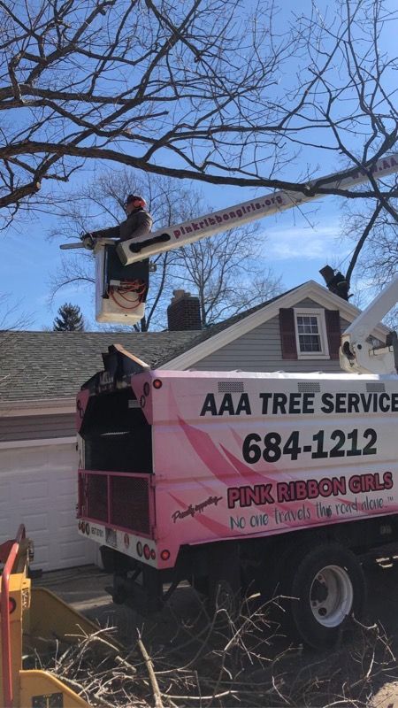 Tree Service Tree Climber — Dayton, OH — AAA Tree and Landscaping