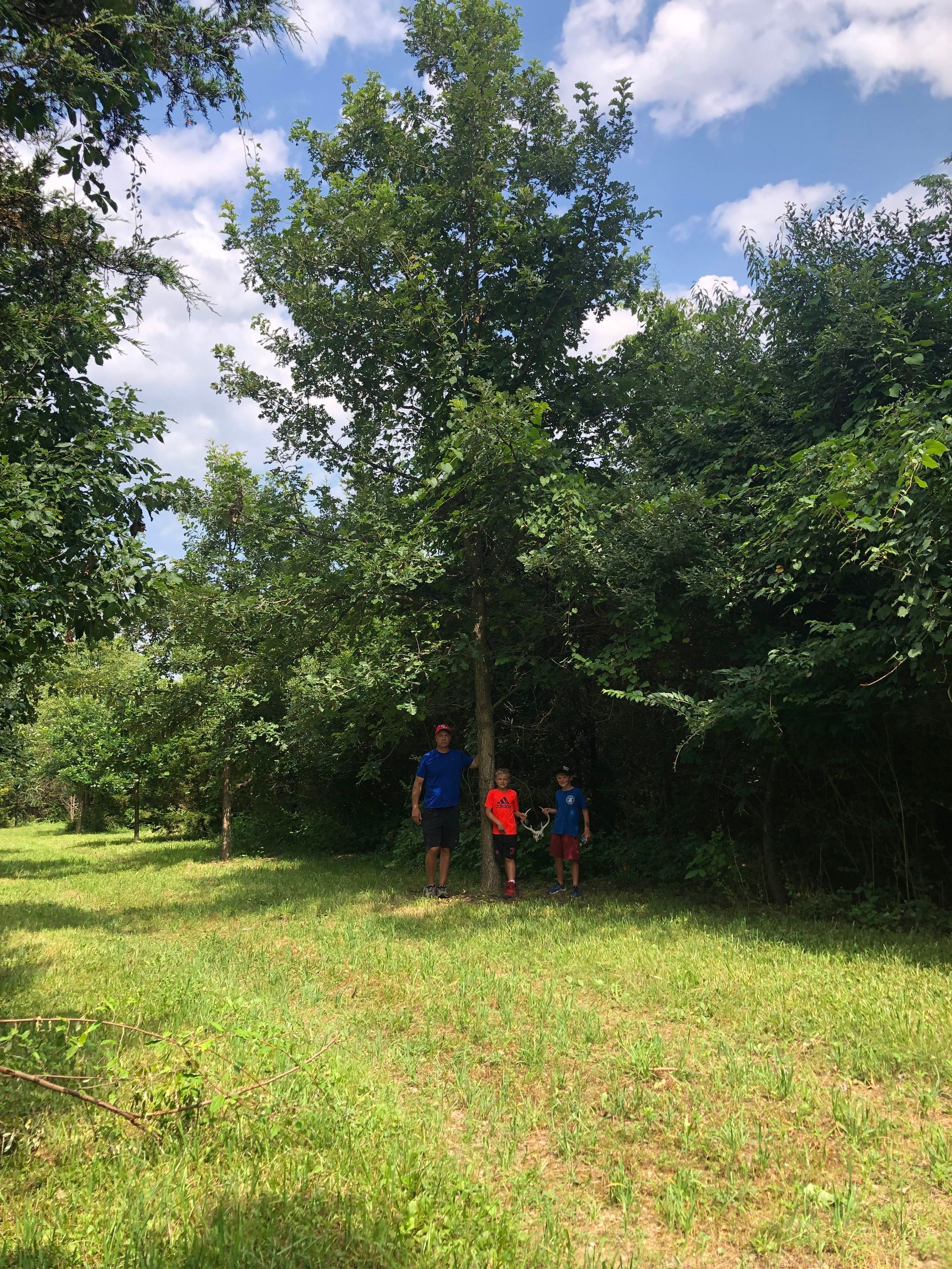 Two Kids & Man Under The Tree — Dayton, OH — AAA Tree and Landscaping