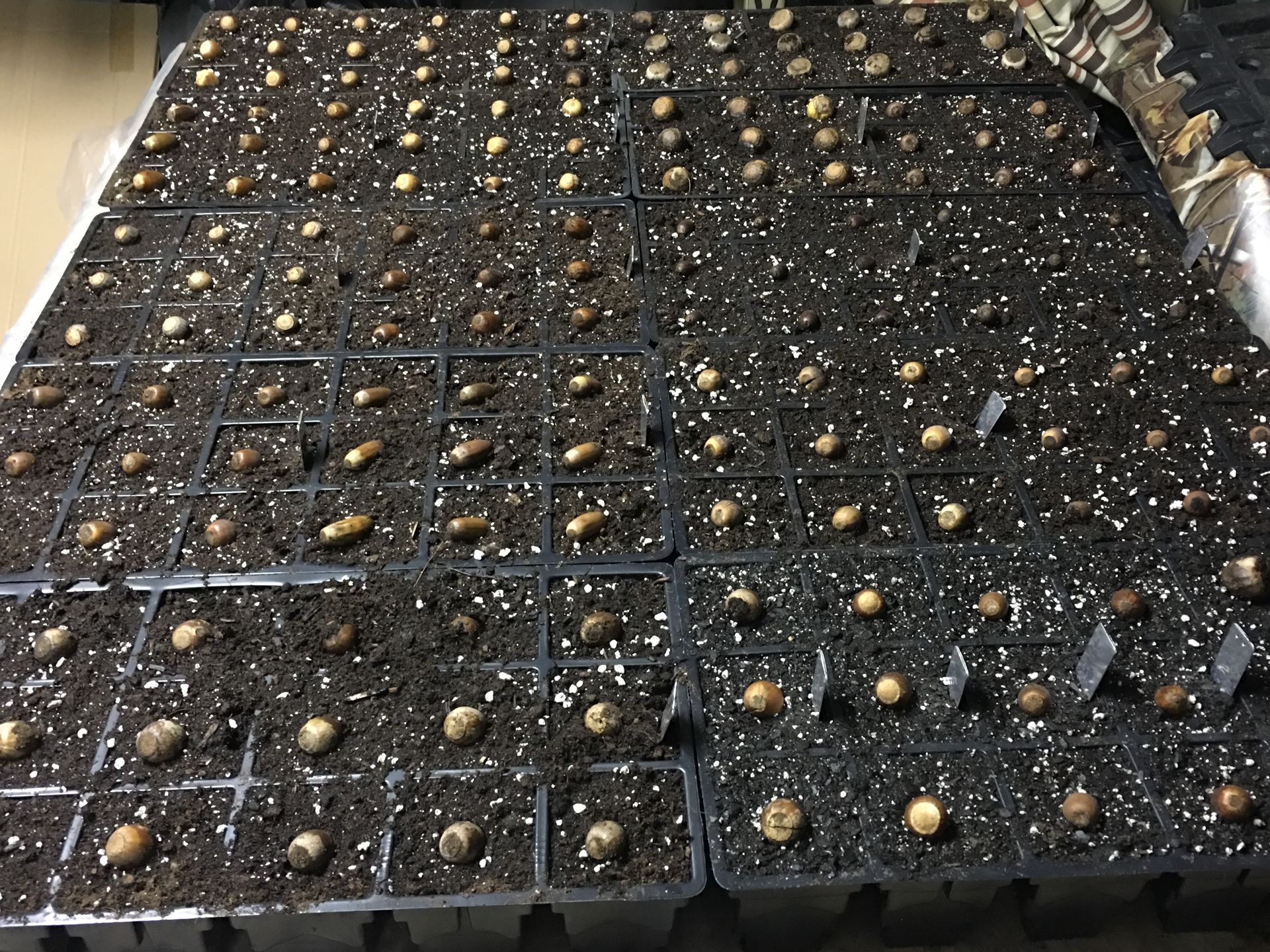 Seeds — Dayton, OH — AAA Tree and Landscaping