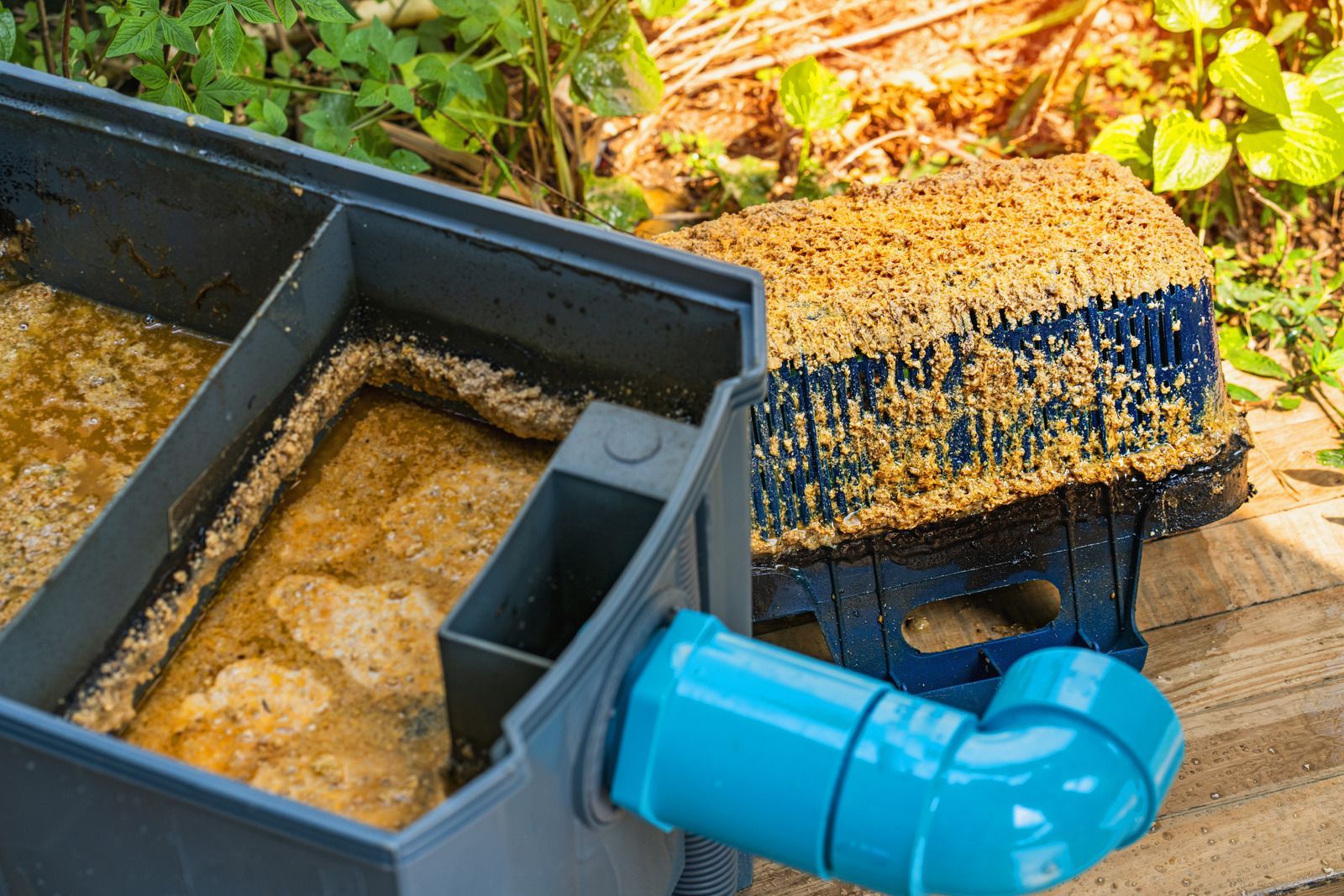 A grey plastic grease trap with an open lid, containing food waste and grease, sitting outside with a blue PVC elbow pipe.