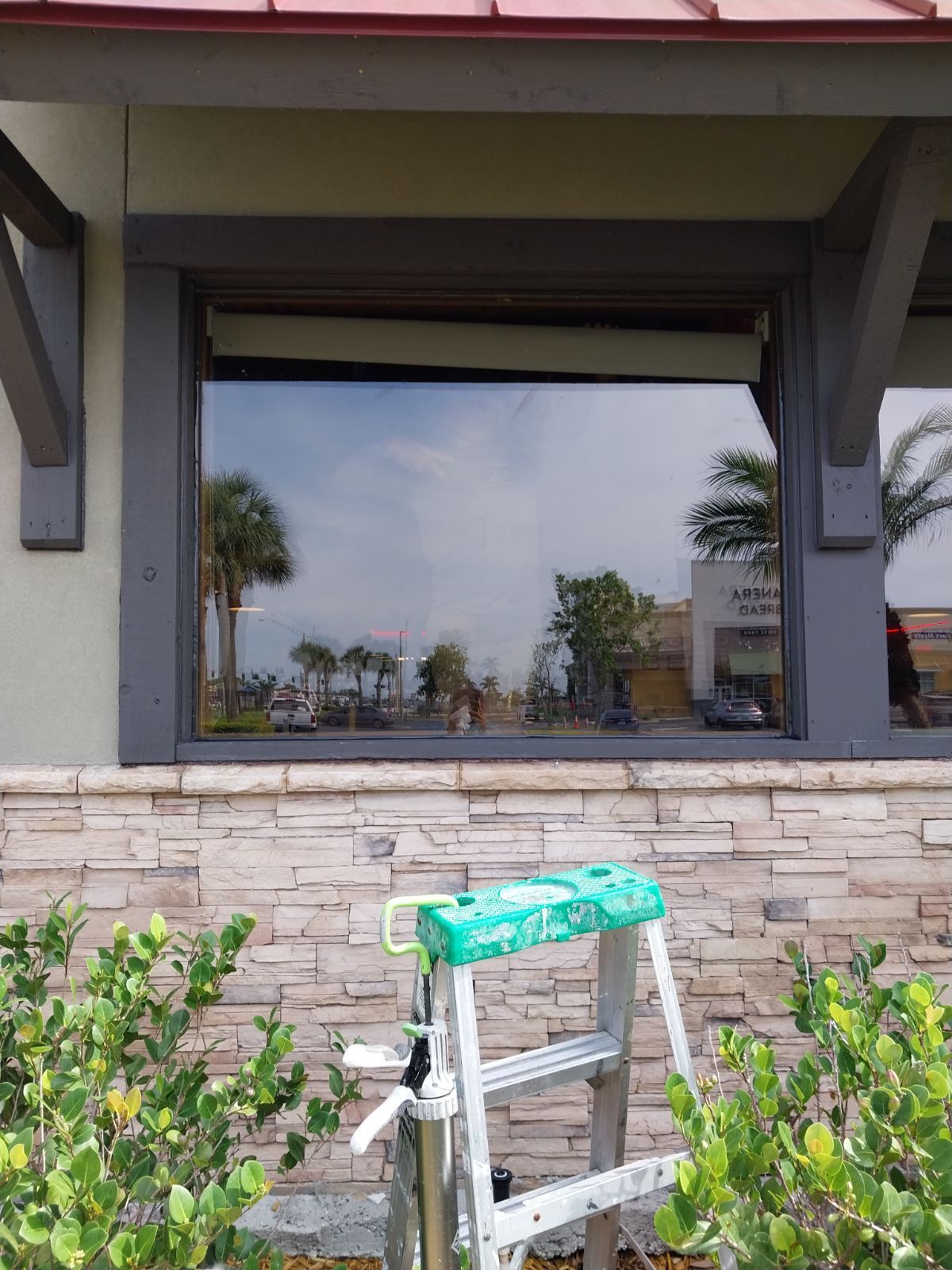 Window reflecting sky and trees; ladder in front of stone wall and green bushes.