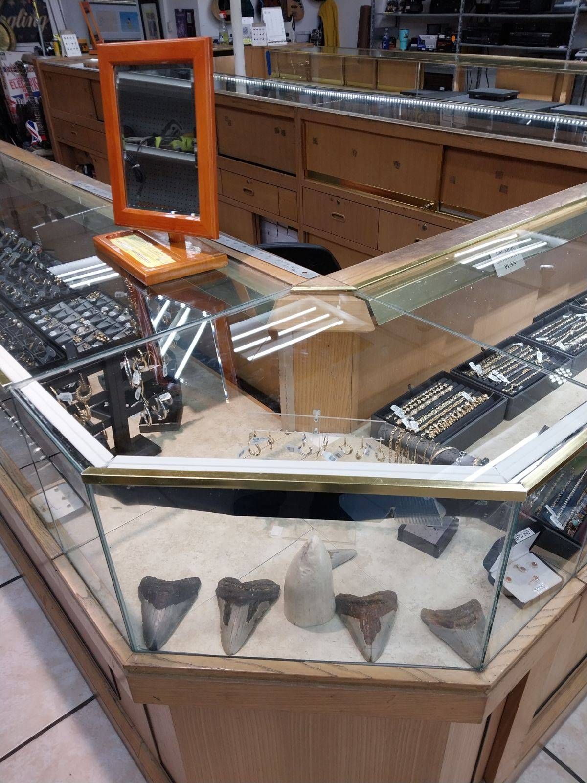 Corner jewelry store display case with shark teeth and jewelry.