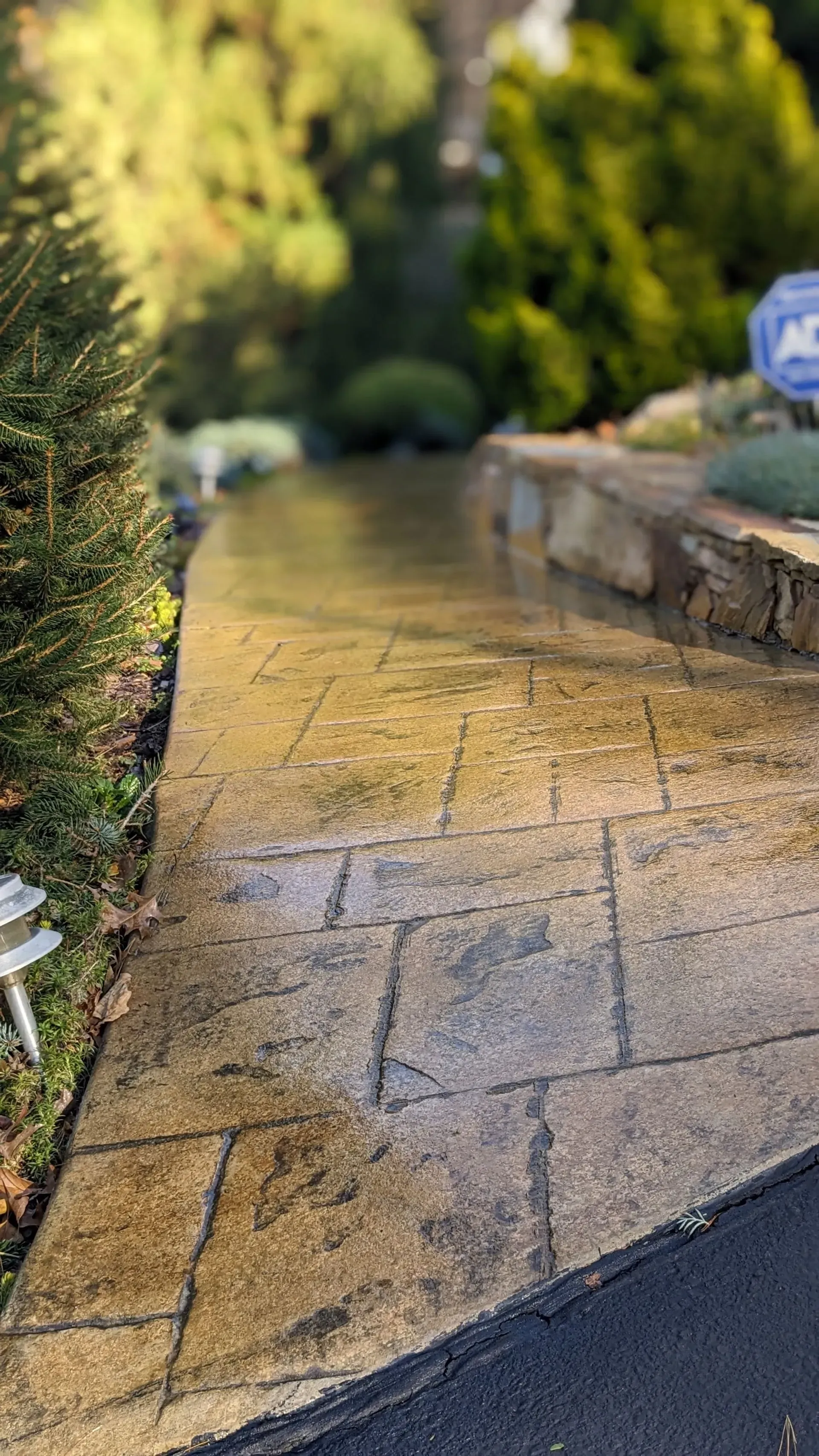 Concrete Sealing