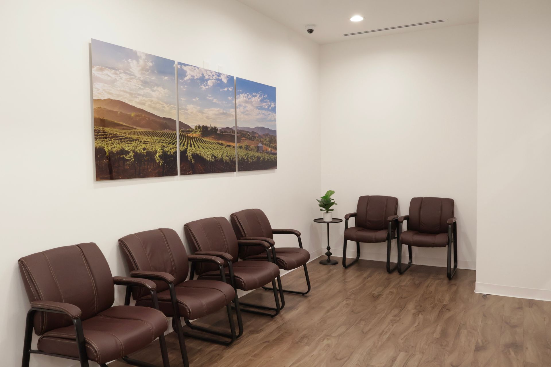 Waiting room with brown chairs, landscape art, and a small plant.