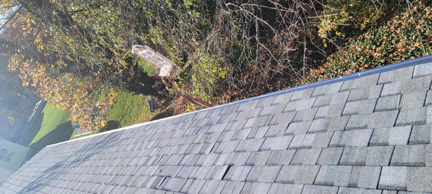 A close up of a roof with trees in the background.
