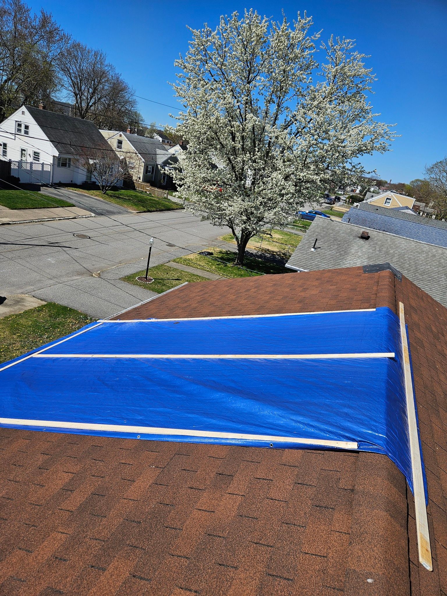 A blue tarp is covering a roof with a tree in the background.