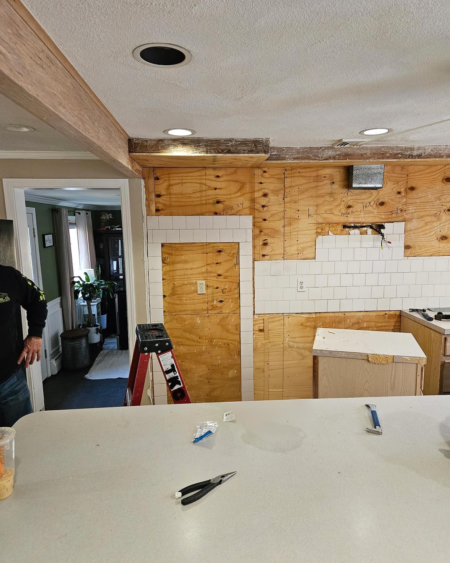 A man is standing in a kitchen with a ladder on the counter.