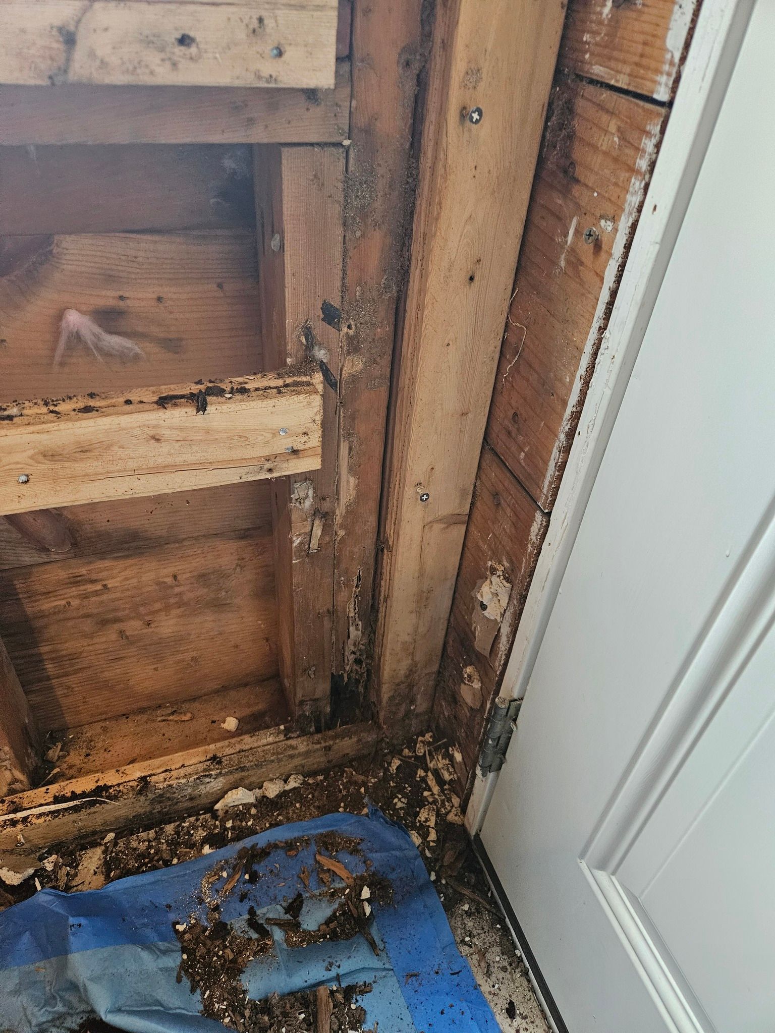 A close up of a wooden wall with a blue tarp on the floor.