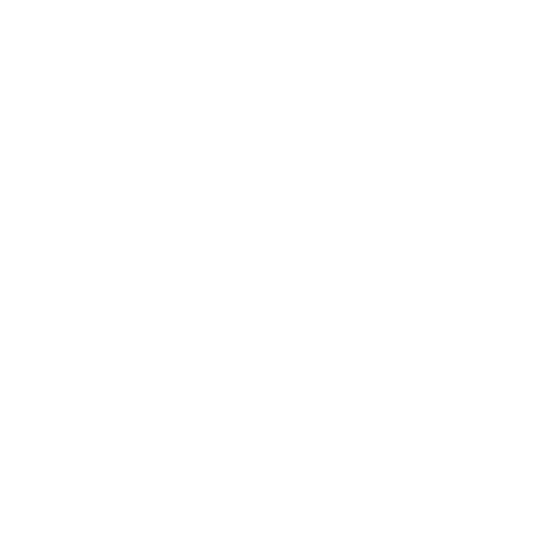 Bar 1539, Chester Racecourse