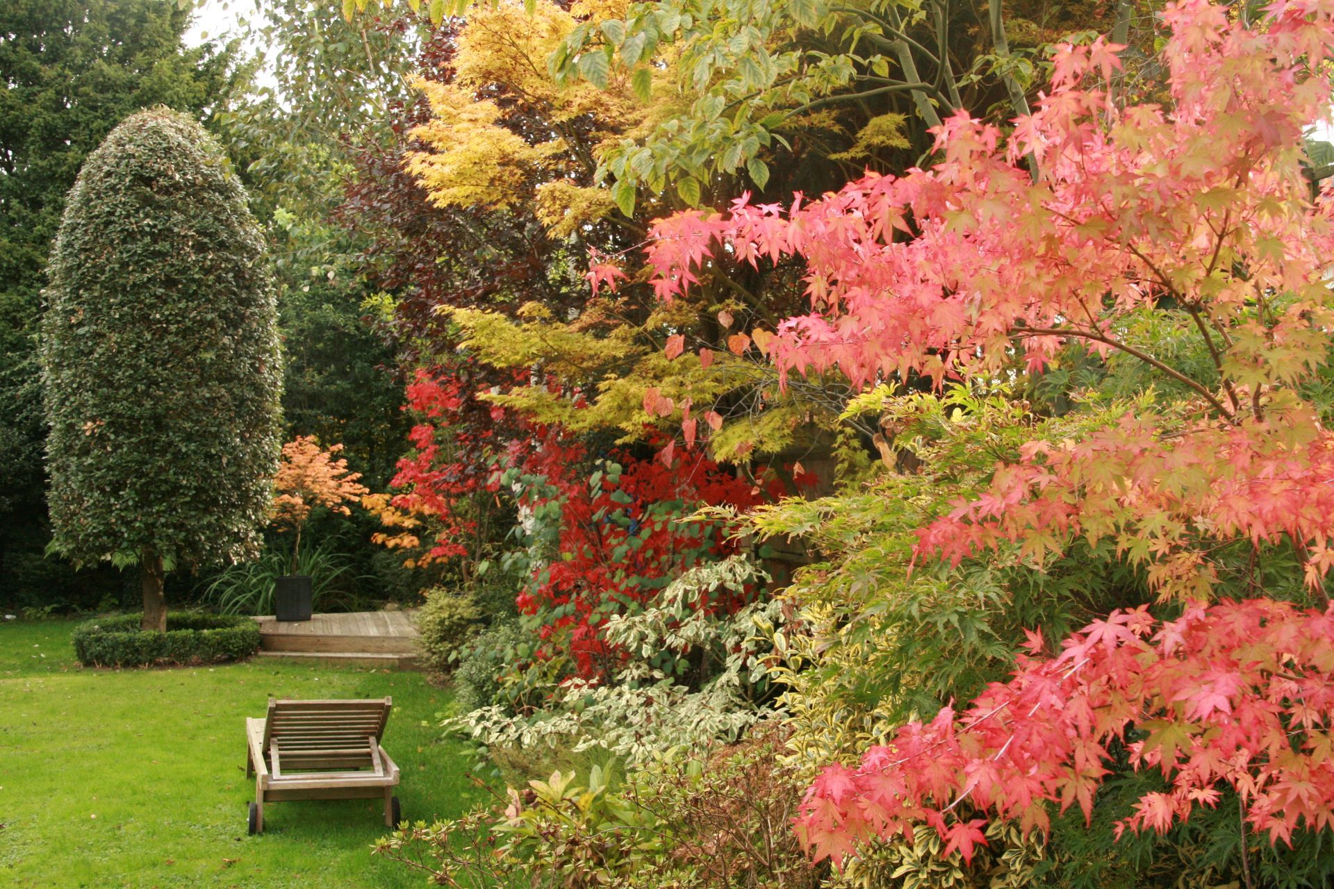 Lush garden with fall foliage, including red, yellow, and green leaves. Lounge chair on green lawn.