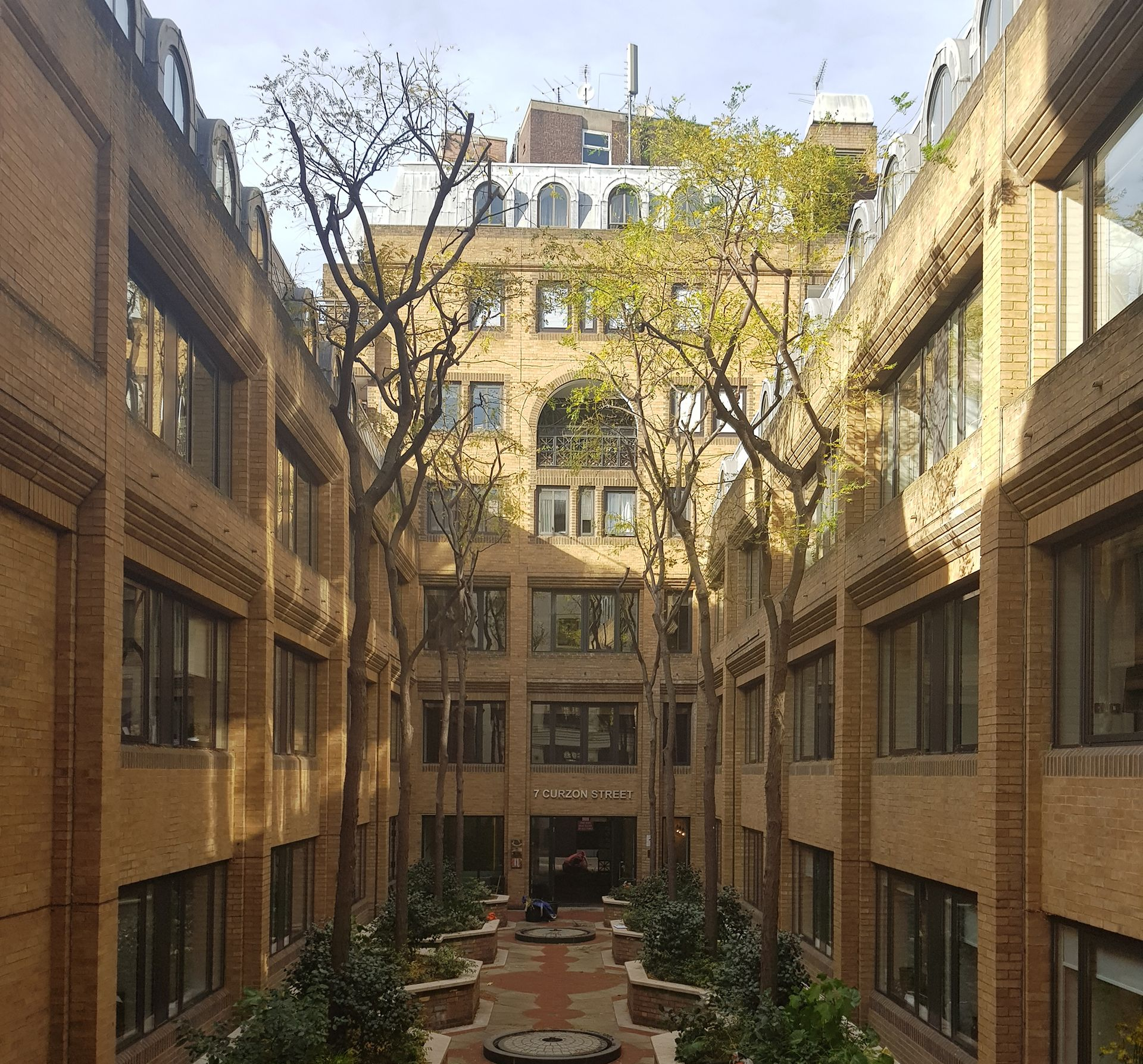 Honey Locust Trees planted in London W1