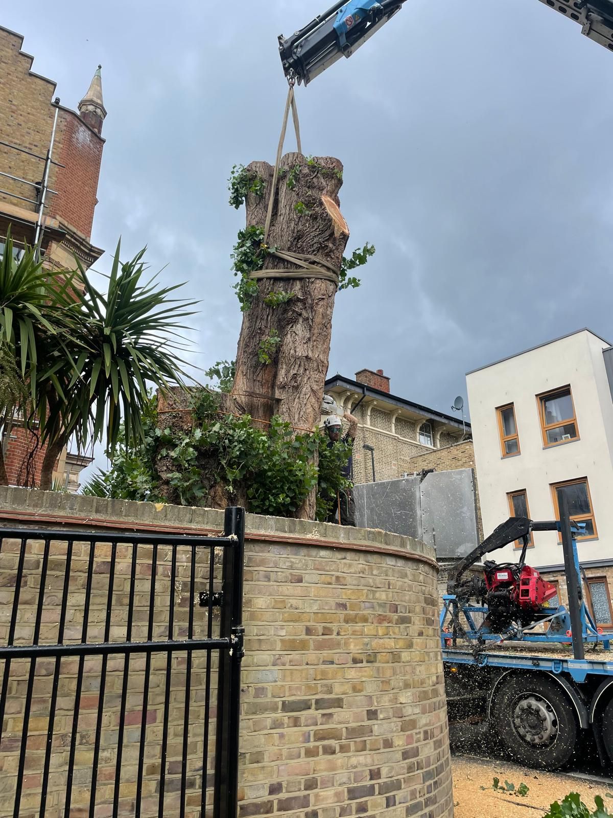 A tall, tree stump being lifted by a crane in London SE4.