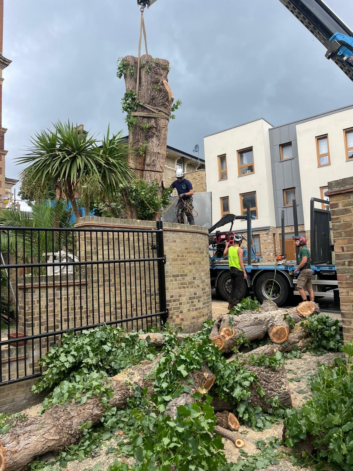 Crane lifting a large, cut tree trunk from a residential area in London SE4. Several tree surgeons are present near the truck and fence.