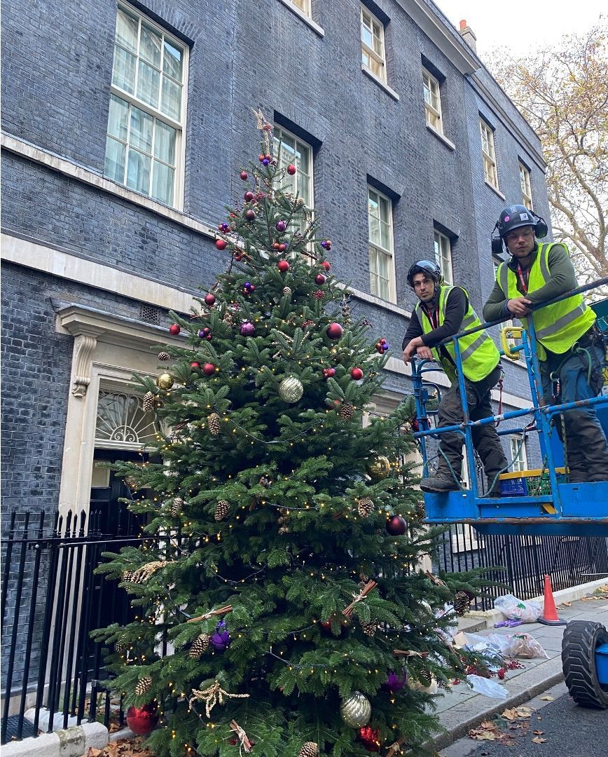 Installing the Christmas tree @ 10 Downing Street