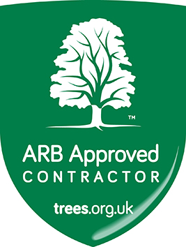 ARB Approved Contractor logo. Shield-shaped, green background with a white tree, and text: 