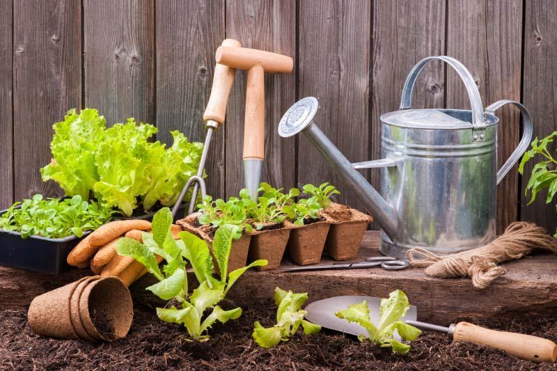 prodotti per giardinaggio