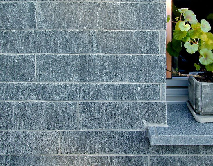 Eine Topfpflanze steht auf einem Fensterbrett neben einer Ziegelmauer