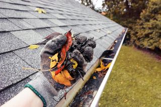 Gutter cleaning, leaf cleaning, spring cleaning, autumn cleaning